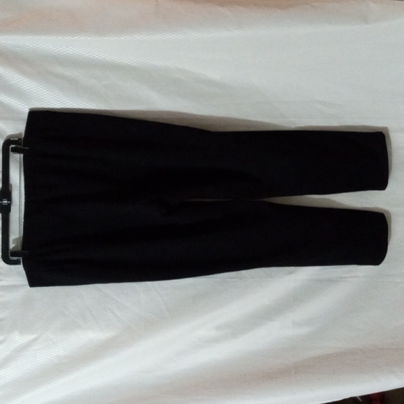 Eileen Fisher Double Knit Sleek Slim Pant 3X Black NWT - Picture 3 of 14